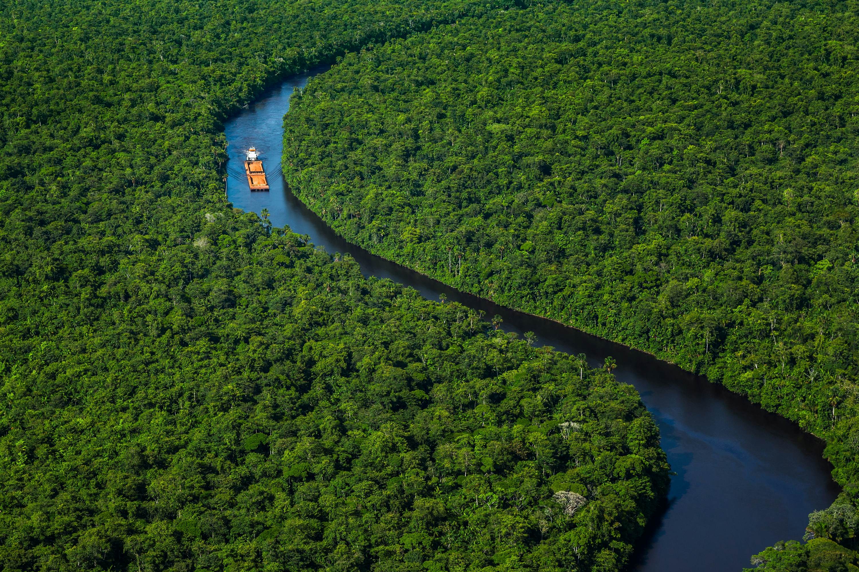 Suriname travel South America Lonely